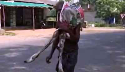 ग्यालामरि क्राबा मानवता