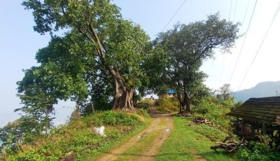 रानीचुरी न्हान