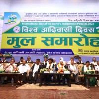 ३१ छा जाम्बुलिङ आदिवासी दिङ्साङ भव्य लिरि दाङ्जि Image