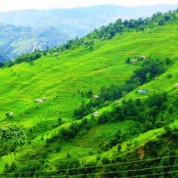 म्हेमेसे थान्बा मिन हिन्ना– ‘बोल्दोङचे’ Image