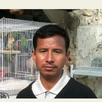 ओन्मा दाङ्बो दुइरि मि Image
