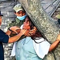 छार सरकार Image