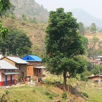 पोबा नाम्सा Image