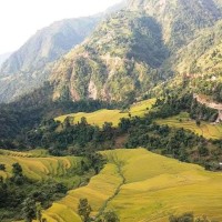 ह्राङ्लान नाम्सादिम Image