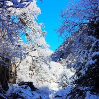 लाम्चीला ग्लिङ Image