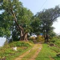 रानीचुरी न्हान Image