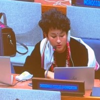 शंखरापुर बोझेनी, याम्बुला सबनम लामासे संयुक्त राष्ट्र संघला हेडक्वाटर न्युयोर्करि आदिवासी जनजाति फोरमरि ग्याल्सा ज्यादती लिब्रो थान्बा ताम Image