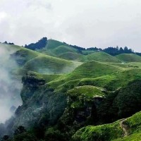 शैलुङ तिनि क्राचिबा मुला Image