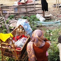 ओइ सरकार .... Image