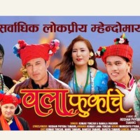 म्हेन्दोमाया व्हाइ गुङरि ‘वला फुर्काचे’ चु दिङ्ला साचेमो Image